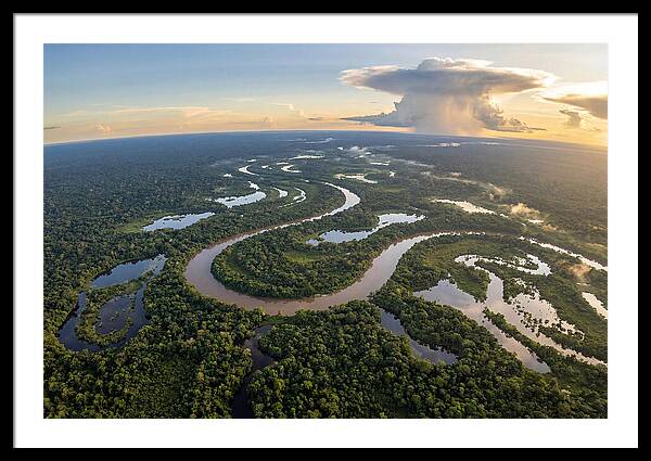 Amazon River Basin Serenity