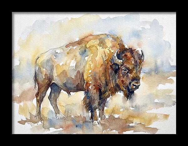 American Bison In Watercolor