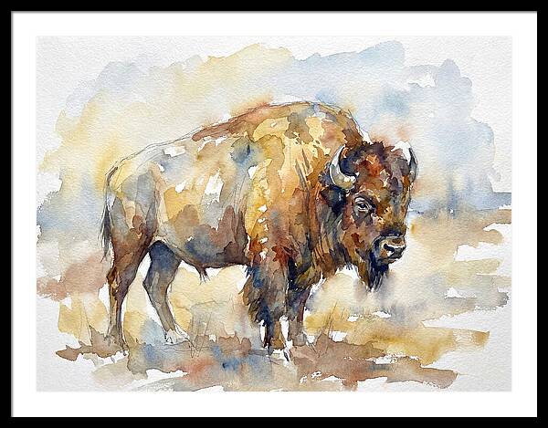 American Bison In Watercolor