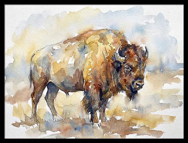 American Bison In Watercolor