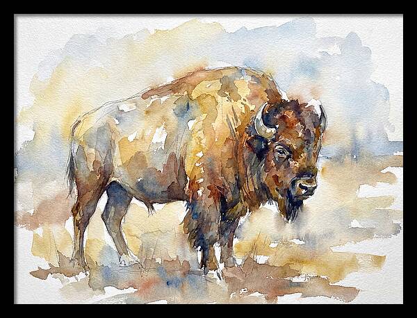 American Bison In Watercolor