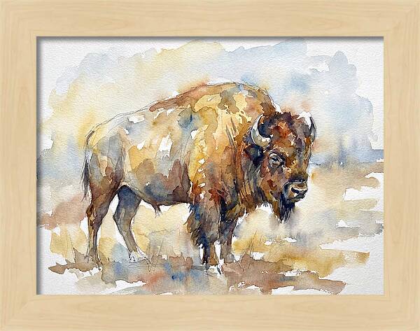 American Bison In Watercolor