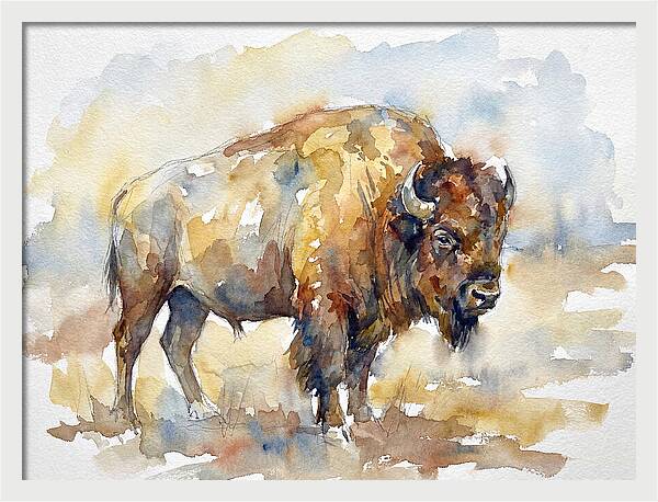 American Bison In Watercolor
