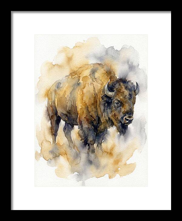 American Bison Majesty
