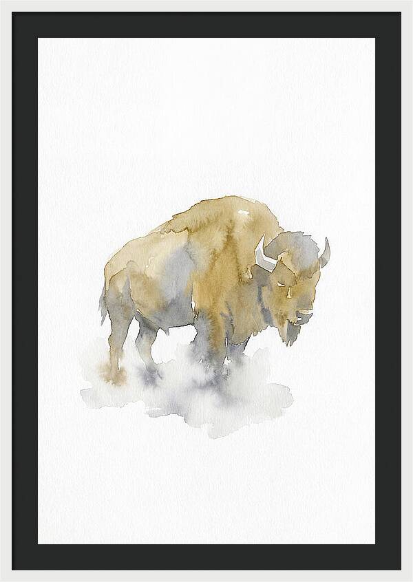 American Bison Silhouette