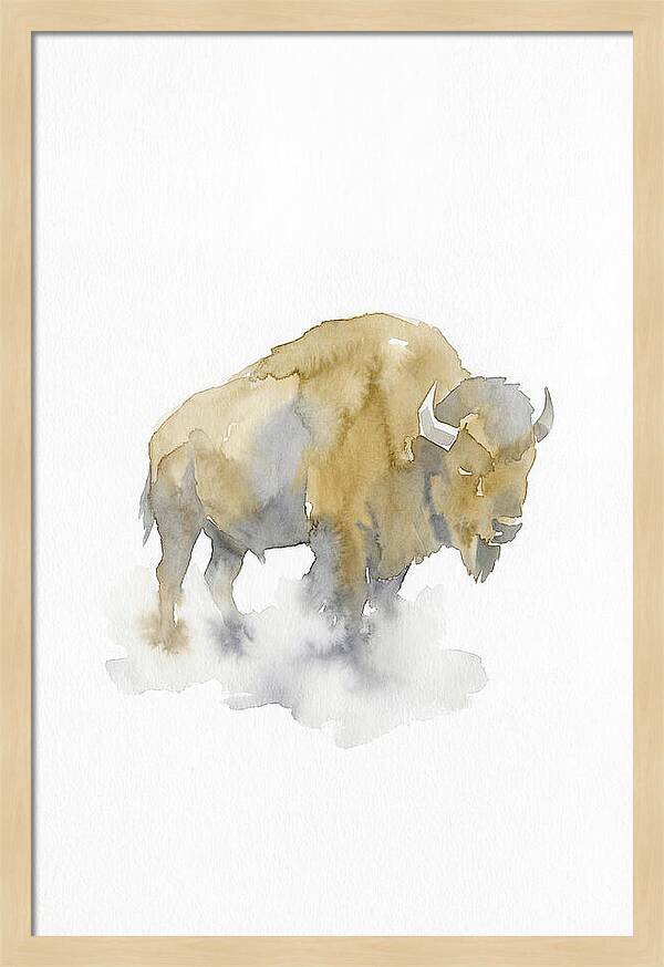 American Bison Silhouette