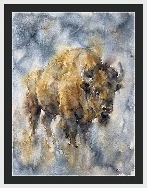American Bison Watercolor