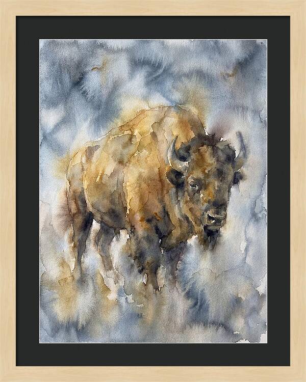 American Bison Watercolor
