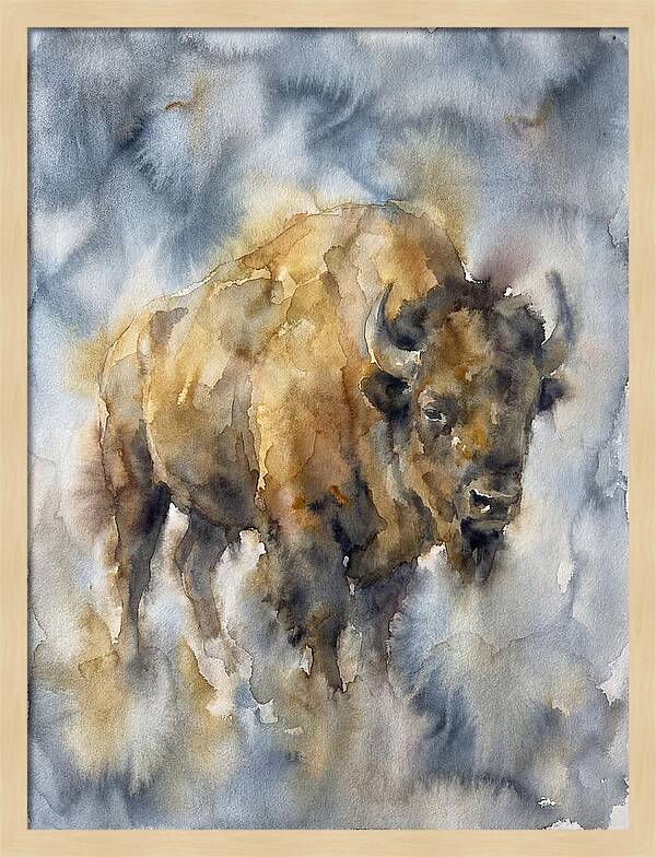 American Bison Watercolor