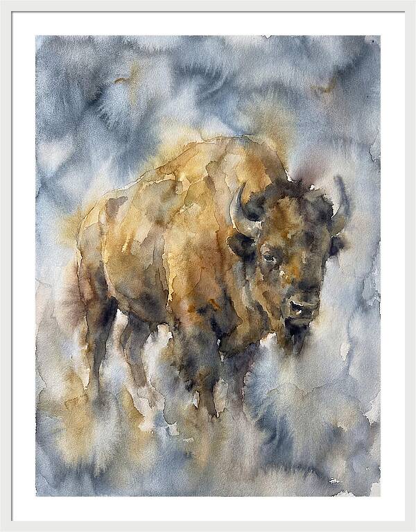 American Bison Watercolor