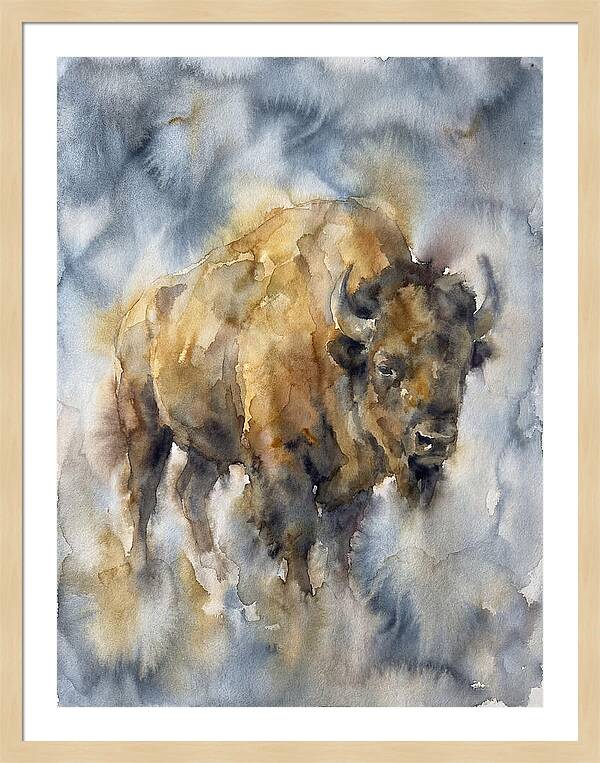 American Bison Watercolor