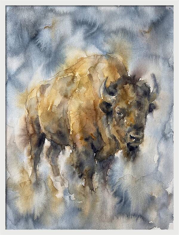 American Bison Watercolor