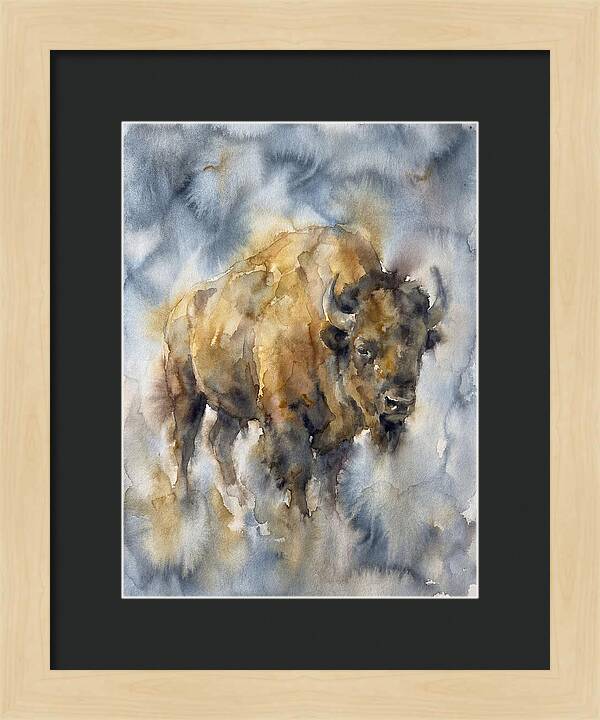 American Bison Watercolor