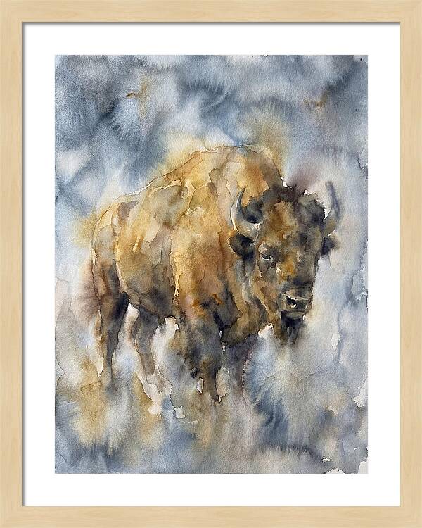 American Bison Watercolor