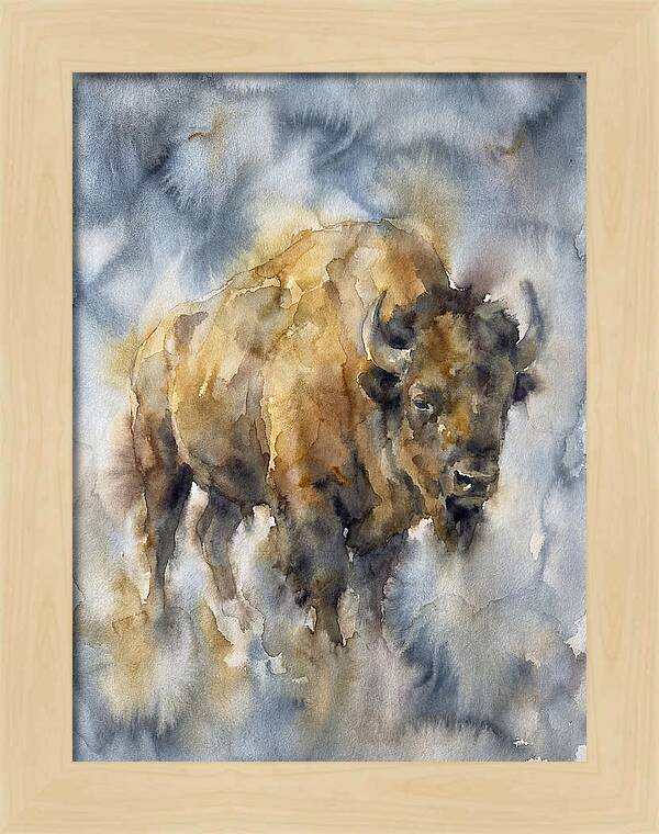 American Bison Watercolor