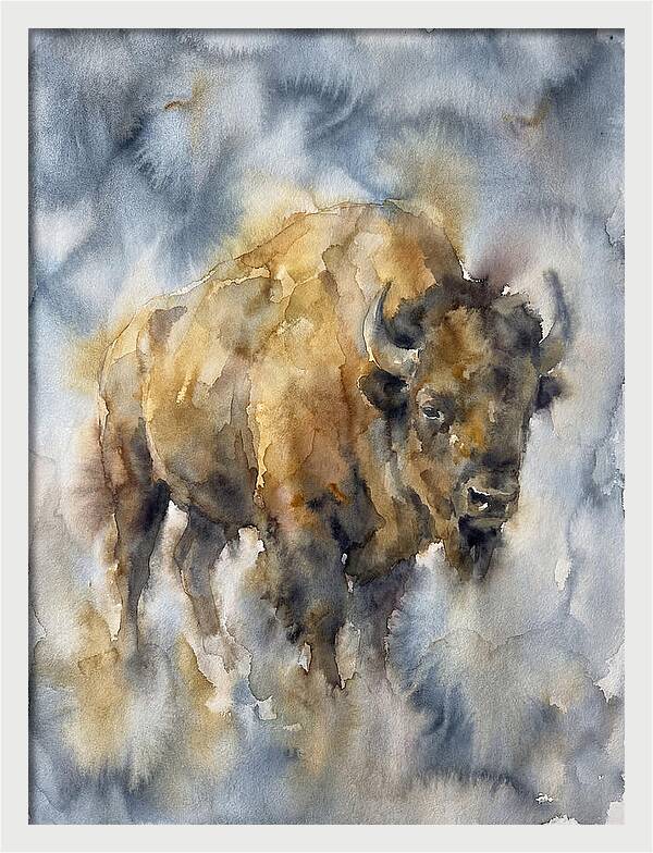 American Bison Watercolor