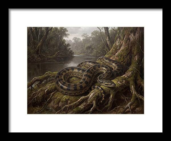 Anaconda In Its Habitat