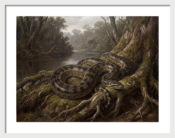 Anaconda In Its Habitat
