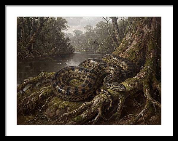 Anaconda In Its Habitat