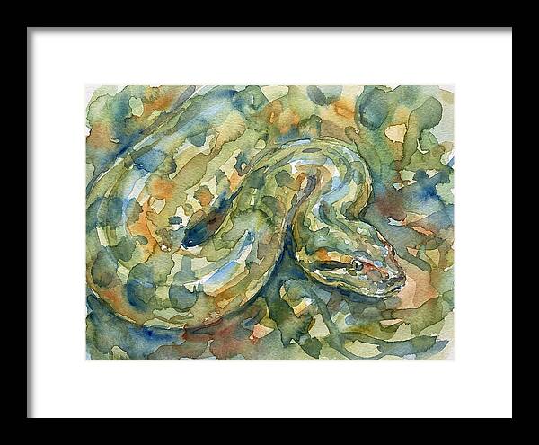 Anaconda In Watercolor
