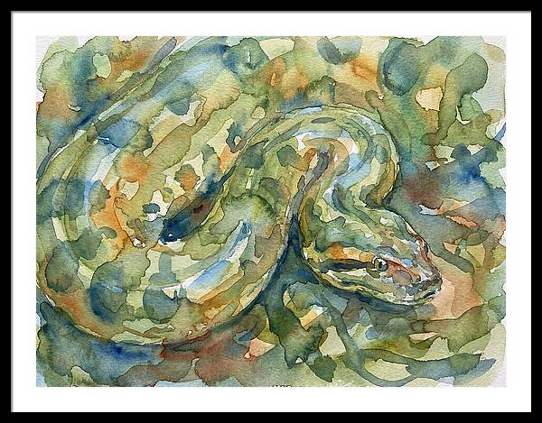 Anaconda In Watercolor