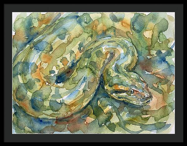 Anaconda In Watercolor