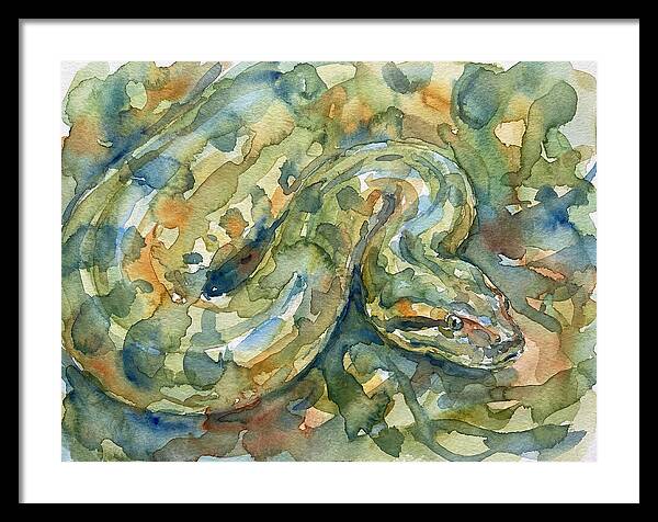 Anaconda In Watercolor