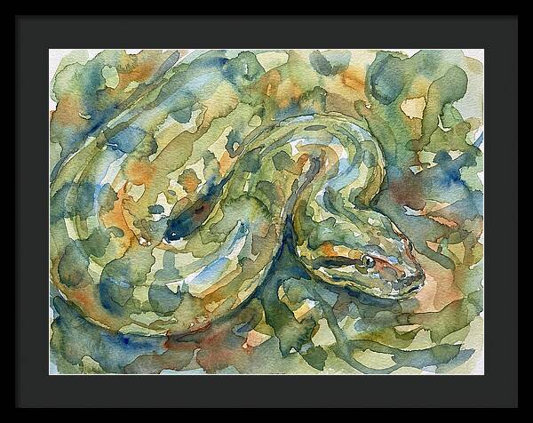 Anaconda In Watercolor