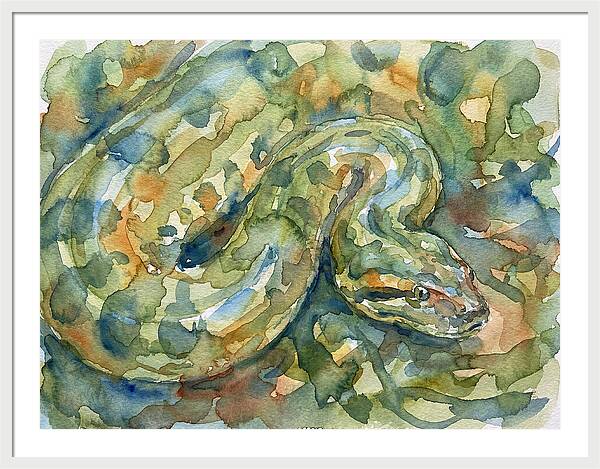 Anaconda In Watercolor