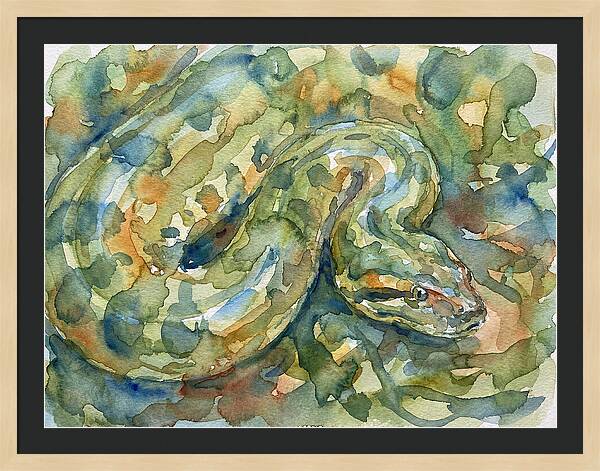 Anaconda In Watercolor