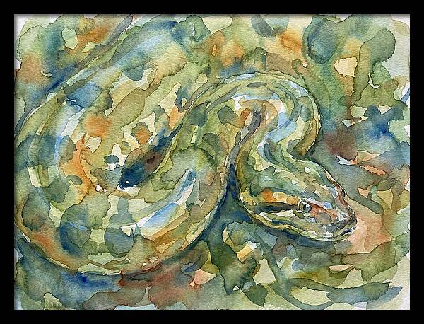 Anaconda In Watercolor