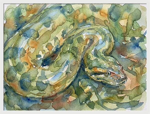 Anaconda In Watercolor