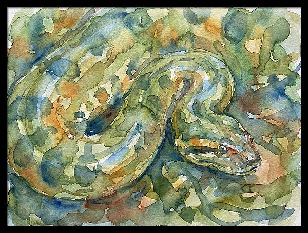Anaconda In Watercolor