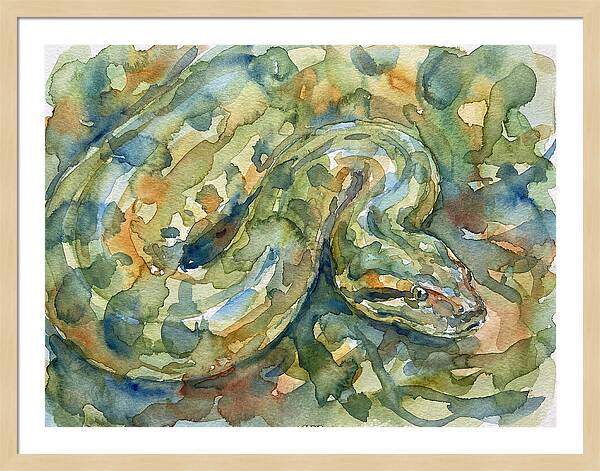 Anaconda In Watercolor