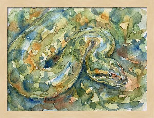 Anaconda In Watercolor