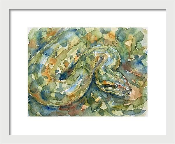 Anaconda In Watercolor