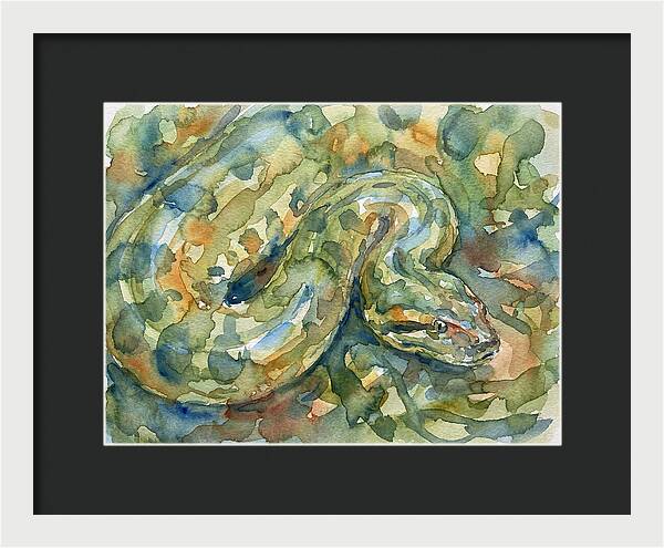 Anaconda In Watercolor
