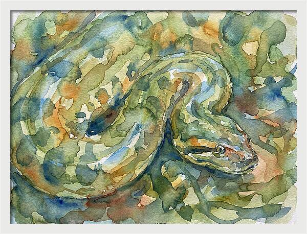 Anaconda In Watercolor
