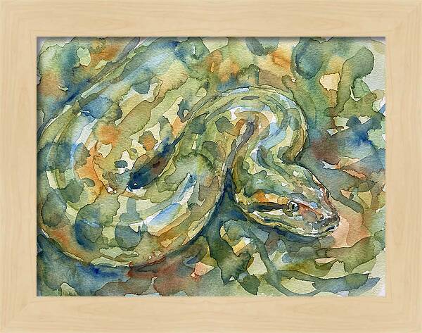 Anaconda In Watercolor