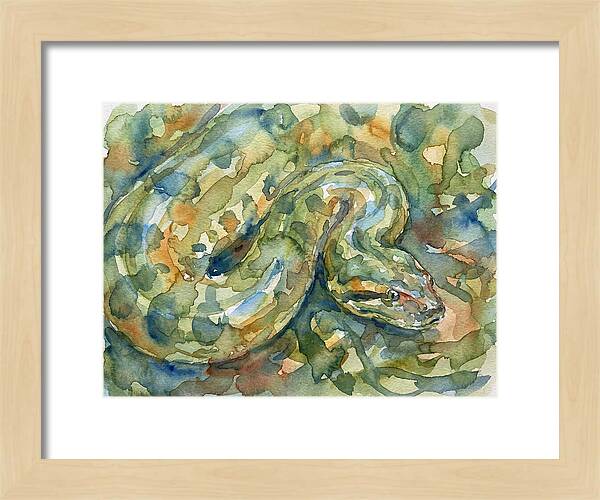 Anaconda In Watercolor