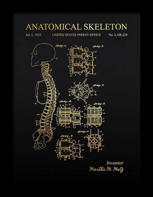 Anatomical Skeleton Gold Patent Us2108229a
