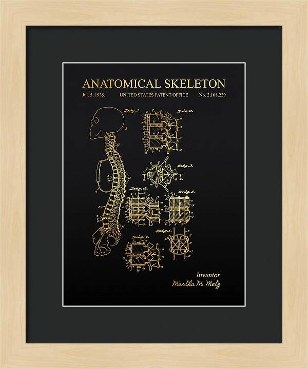 Anatomical Skeleton Gold Patent Us2108229a