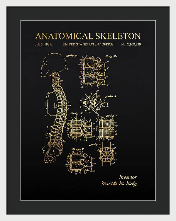 Anatomical Skeleton Gold Patent Us2108229a