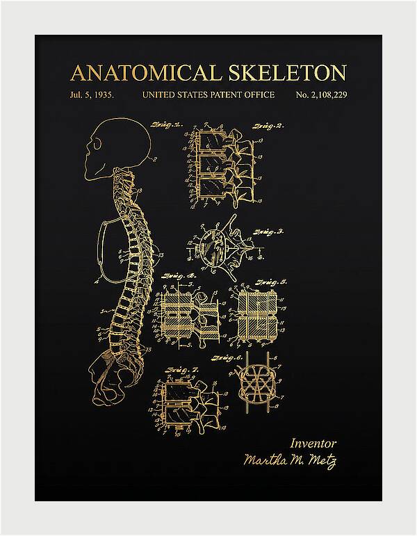 Anatomical Skeleton Gold Patent Us2108229a