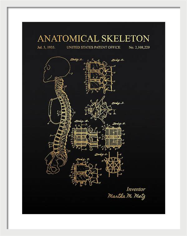 Anatomical Skeleton Gold Patent Us2108229a