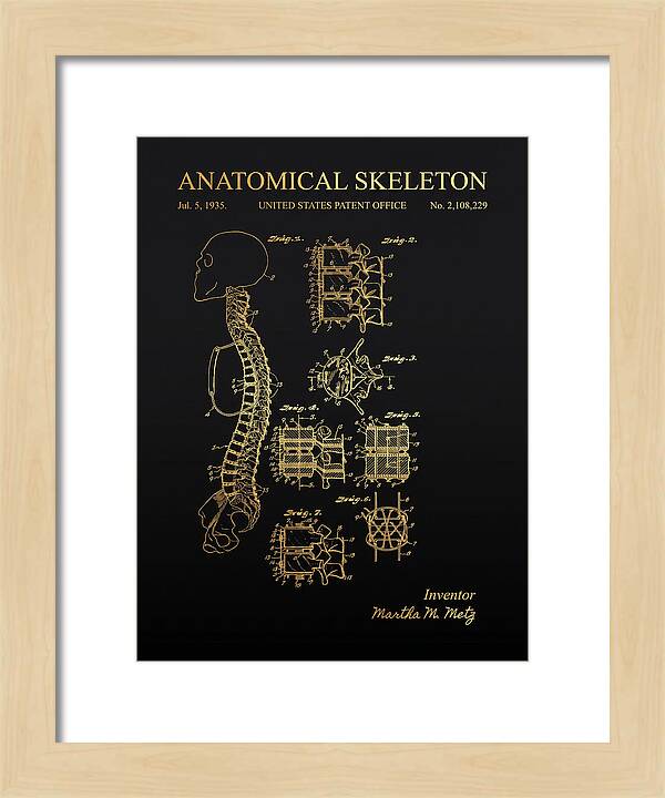 Anatomical Skeleton Gold Patent Us2108229a