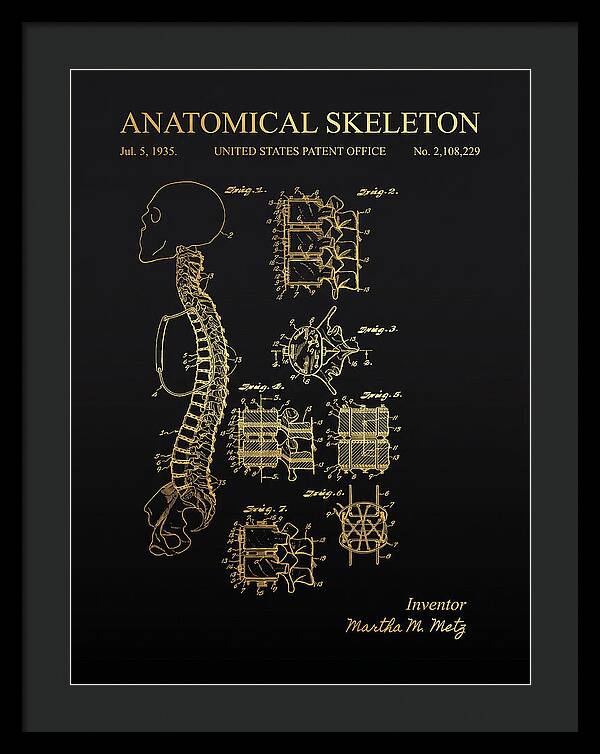 Anatomical Skeleton Gold Patent Us2108229a