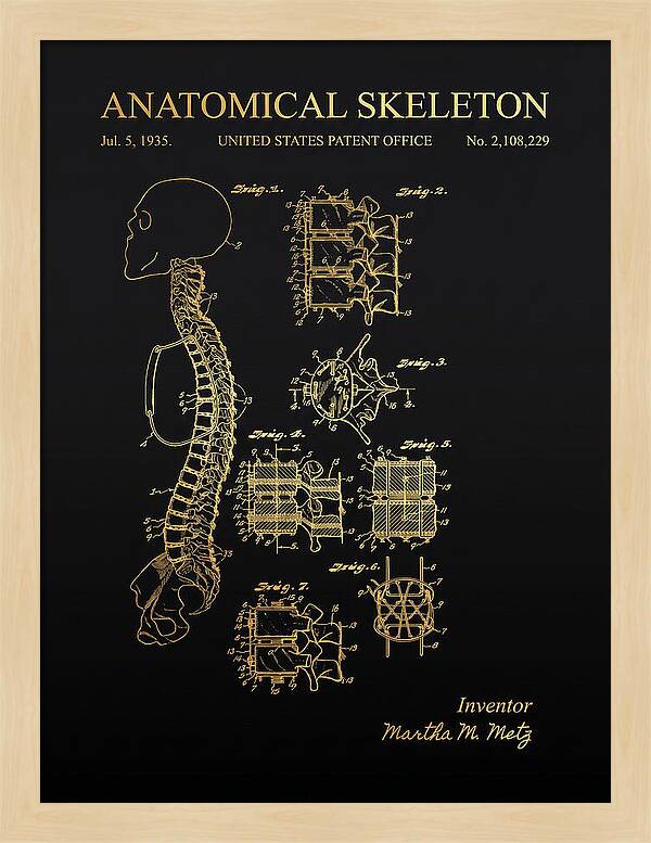 Anatomical Skeleton Gold Patent Us2108229a