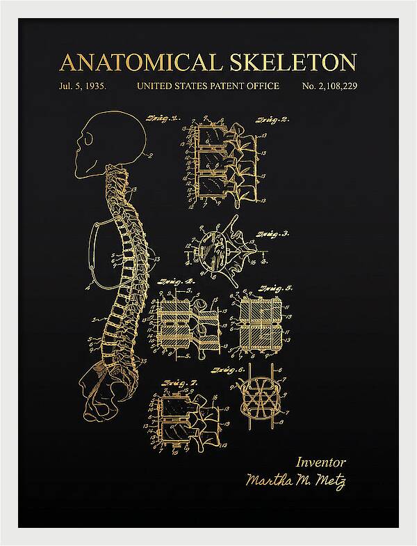 Anatomical Skeleton Gold Patent Us2108229a