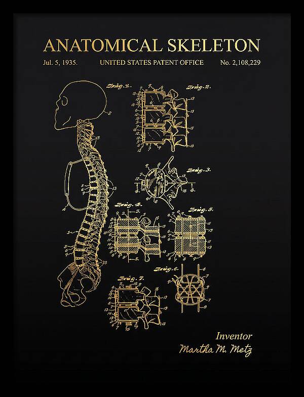 Anatomical Skeleton Gold Patent Us2108229a